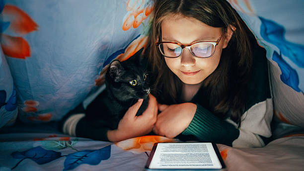 Exploring Crime Patterns and Criminal Justice Systems