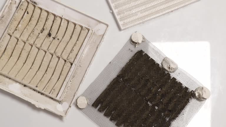 Professional Duct Cleaning Services Muscle Shoals Near You