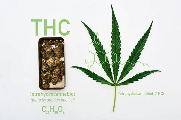Understanding Your Options When Shopping for Hemp Products
