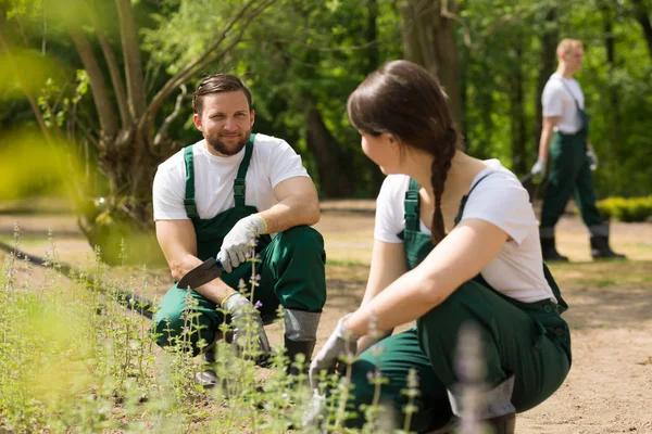Custom Landscaping Services to Match Your Outdoor Design Ideas